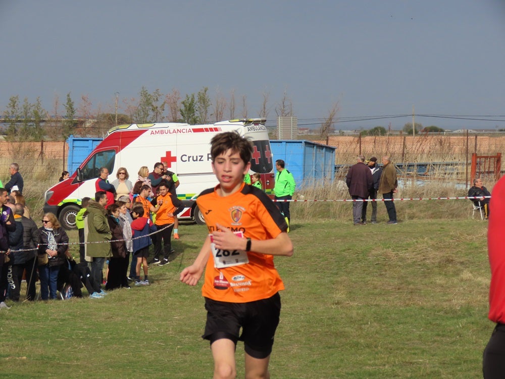 Más de medio millar de participantes en la V Cross Popular ‘Ciudad de Peñaranda’