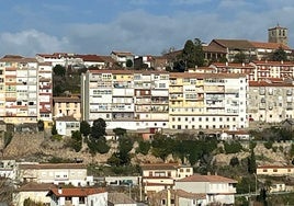 Imagen de parte de la muralla de Béjar cubierta de maleza.