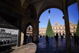 El árbol de Navidad en la Plaza Mayor.