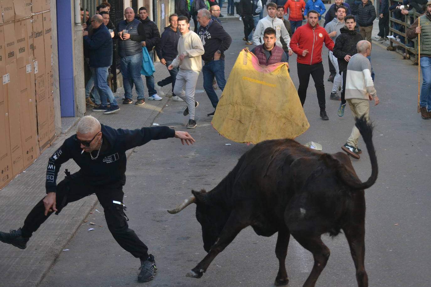 Un emocionante Toro de San Nicolás abarrota Vitigudino