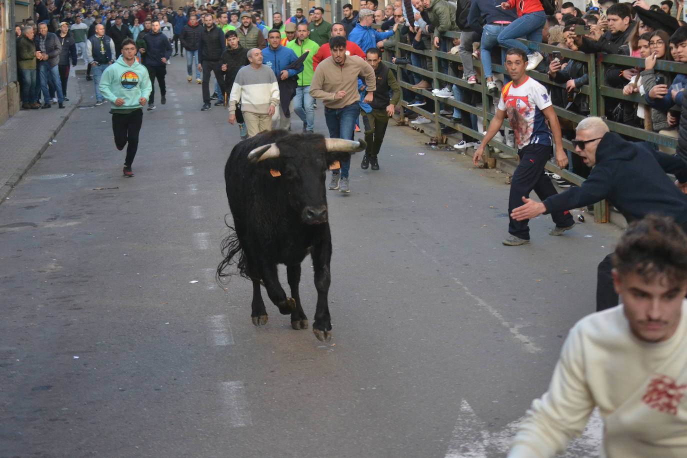 Un emocionante Toro de San Nicolás abarrota Vitigudino