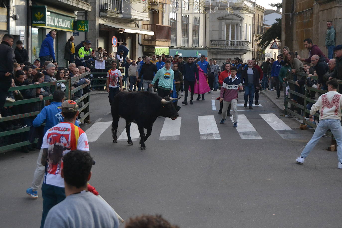 Un emocionante Toro de San Nicolás abarrota Vitigudino