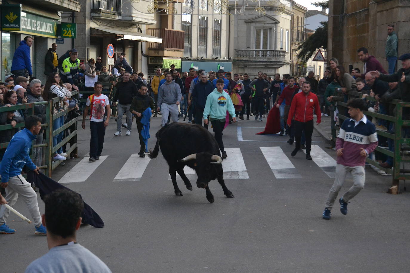 Un emocionante Toro de San Nicolás abarrota Vitigudino