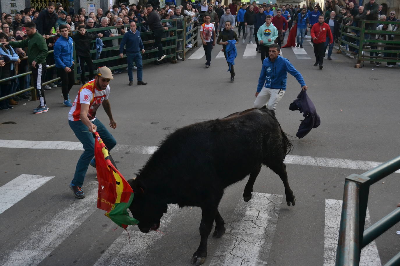 Un emocionante Toro de San Nicolás abarrota Vitigudino