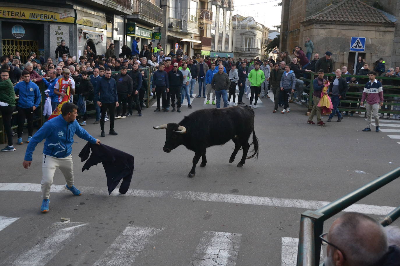 Un emocionante Toro de San Nicolás abarrota Vitigudino