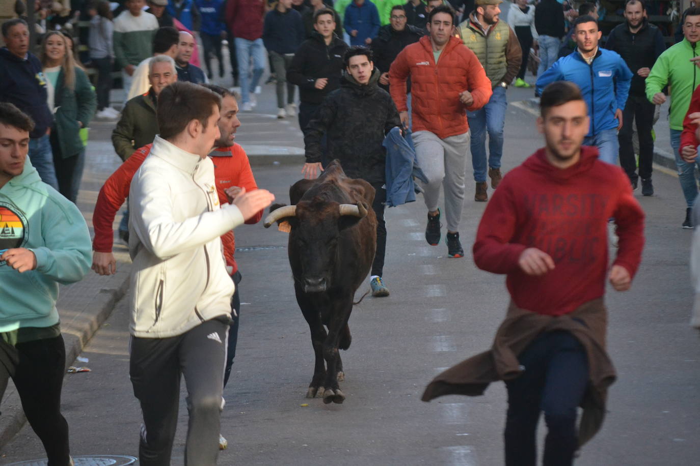 Un emocionante Toro de San Nicolás abarrota Vitigudino