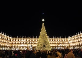 Imagen del árbol de Navidad de la Plaza Mayor.