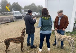 Imagen de una operación de la Guardia Civil.