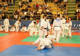 El parquet de Würzburg, repleto de judokas