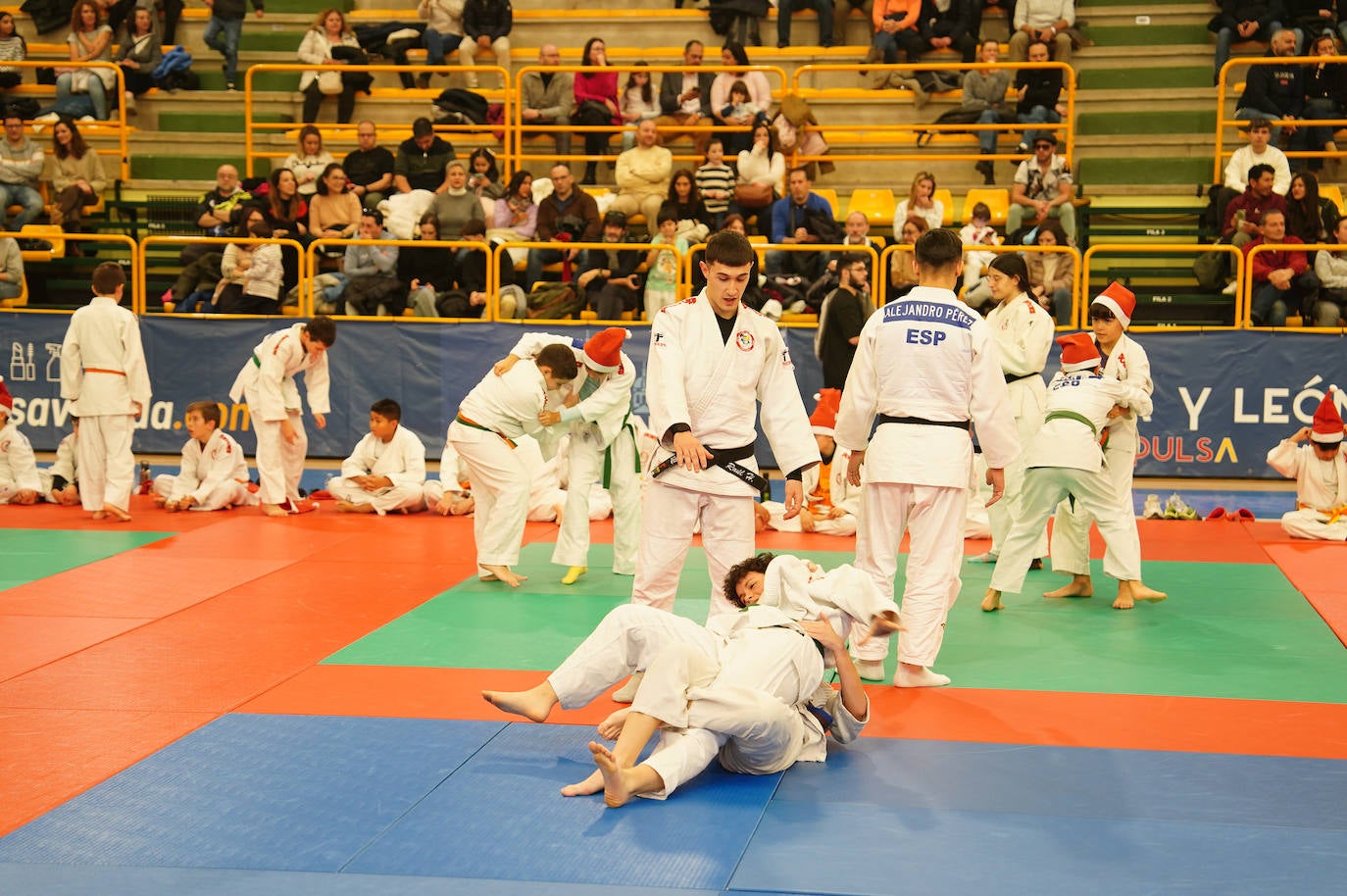 600 jóvenes judokas en el Festival de Navidad