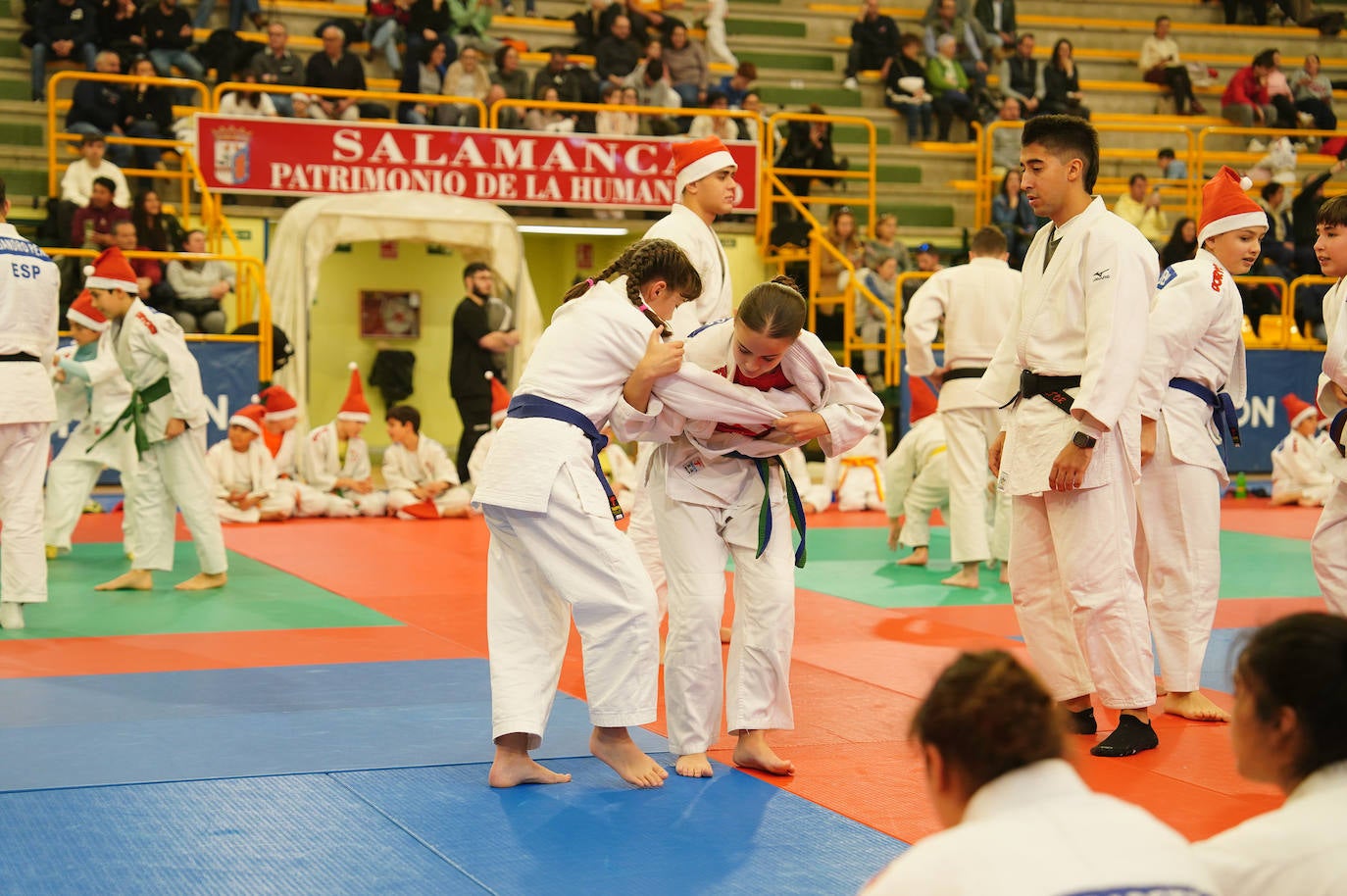 600 jóvenes judokas en el Festival de Navidad