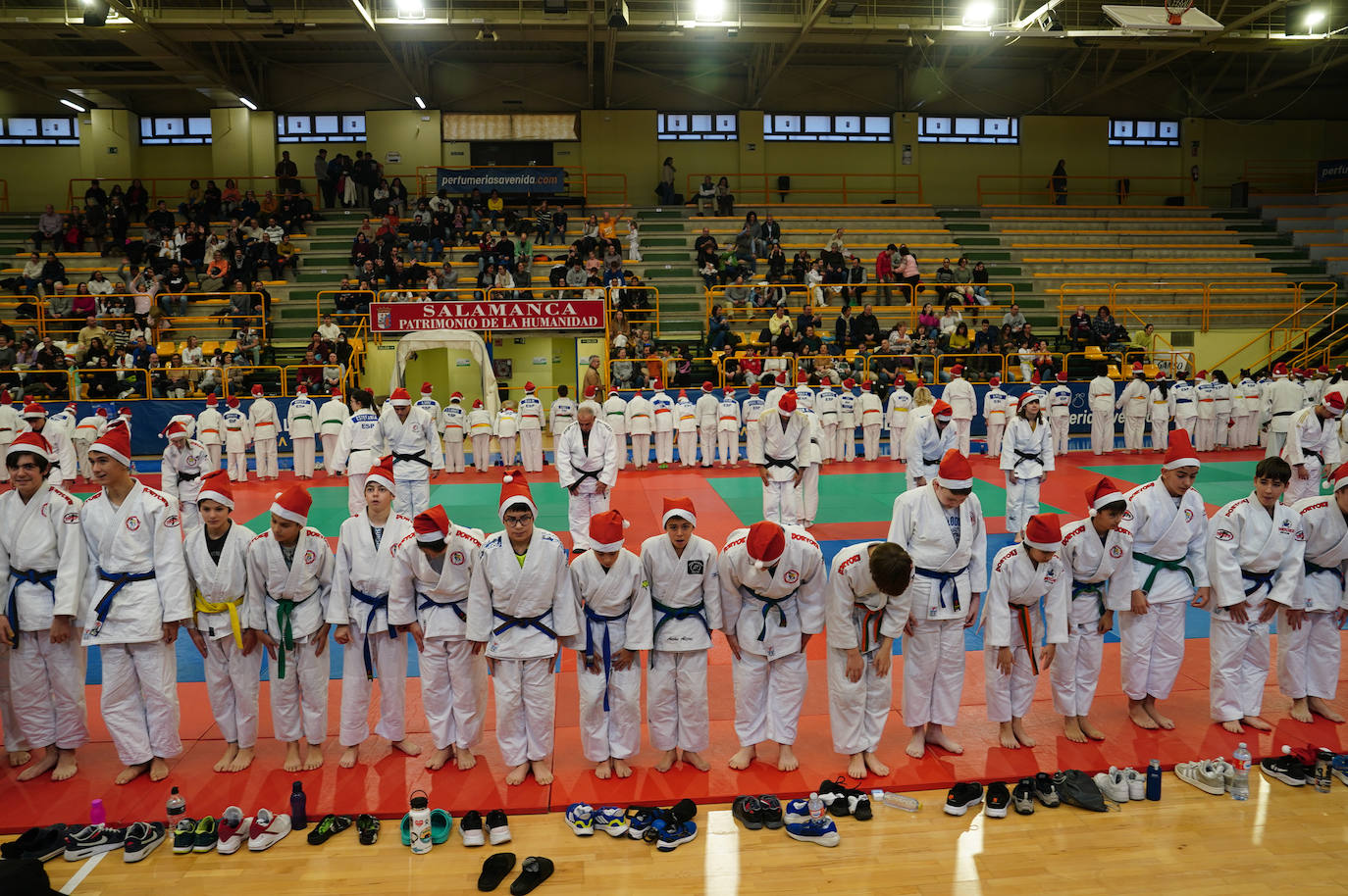 600 jóvenes judokas en el Festival de Navidad