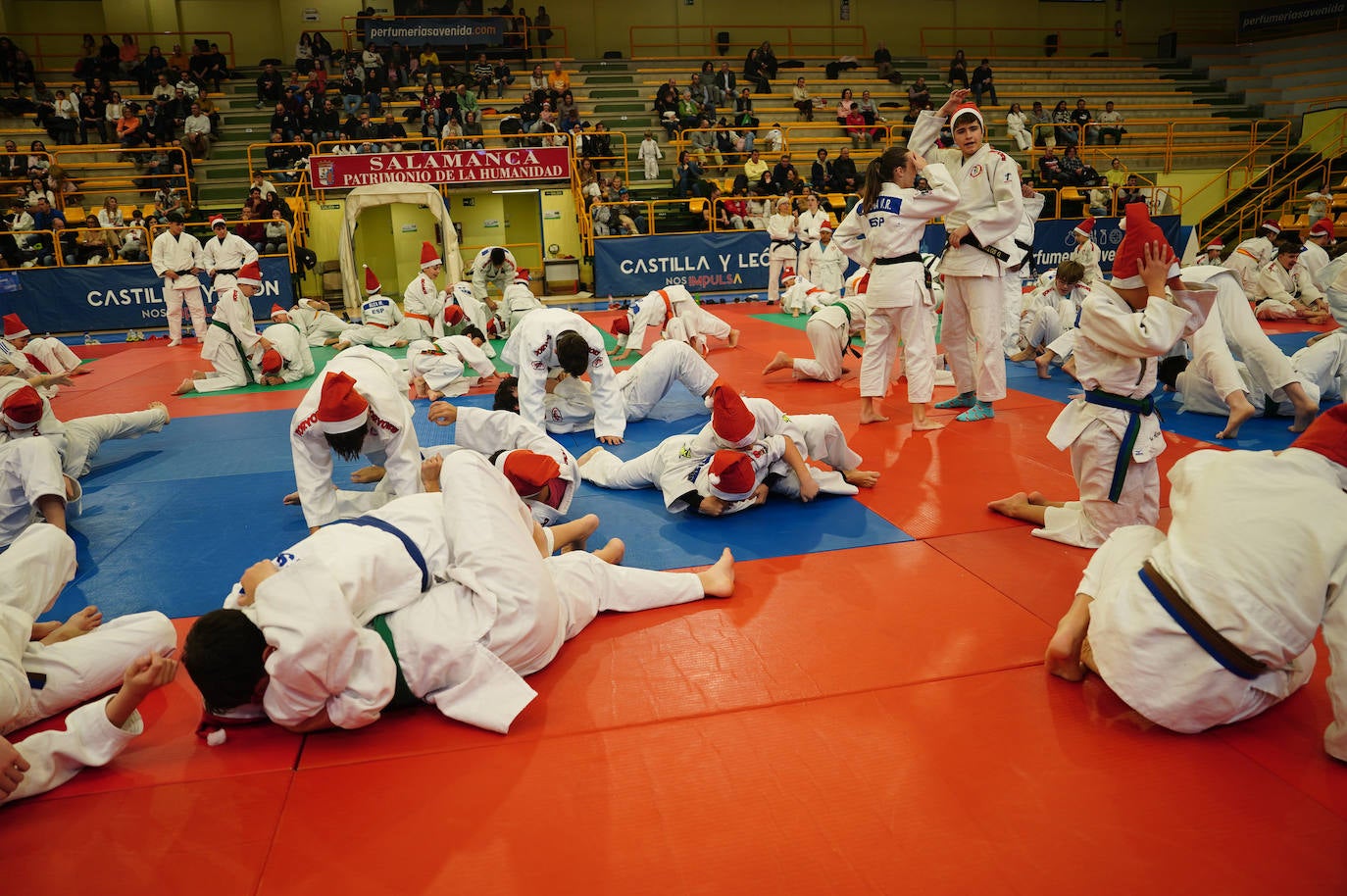 600 jóvenes judokas en el Festival de Navidad