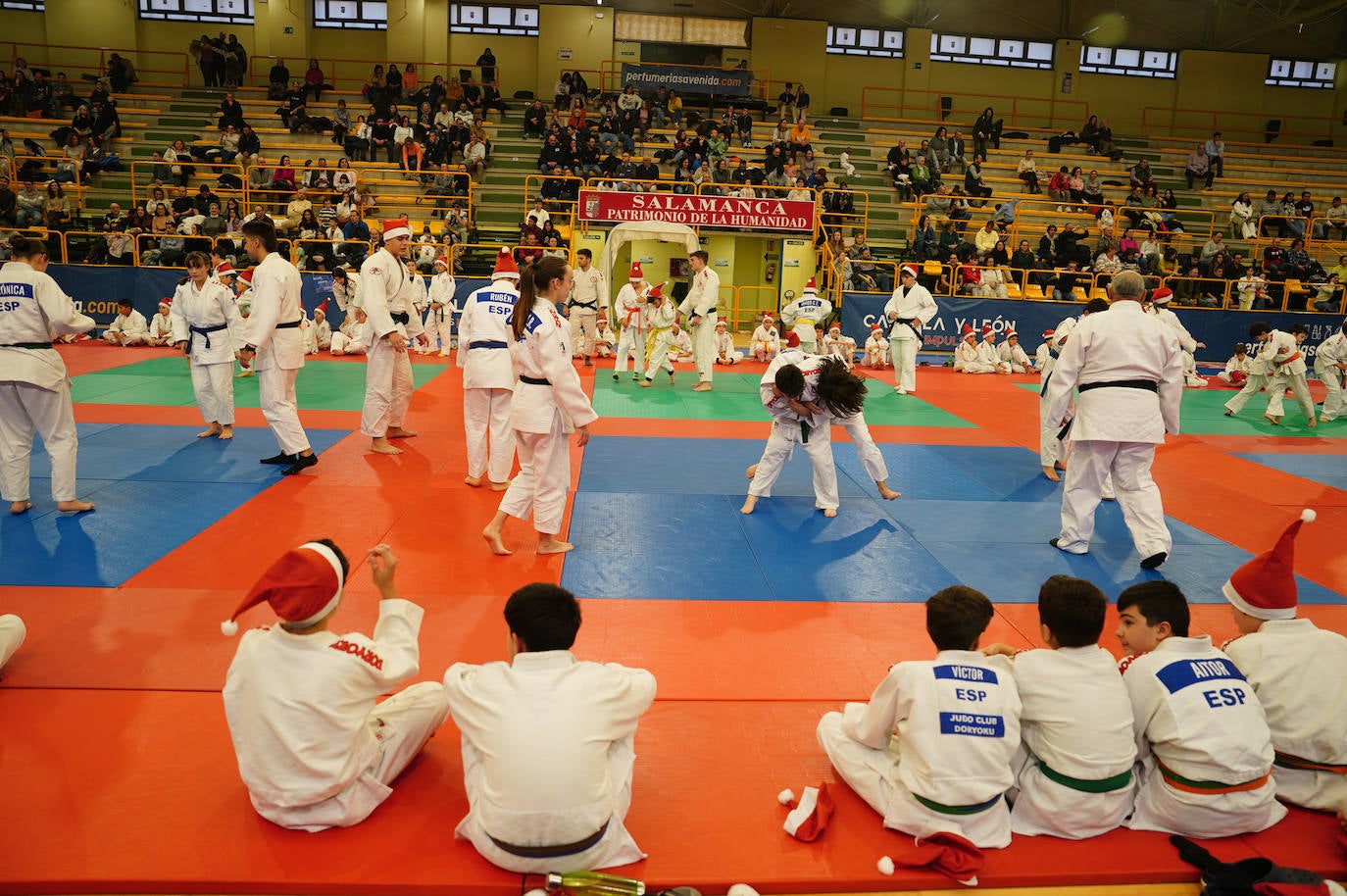 600 jóvenes judokas en el Festival de Navidad