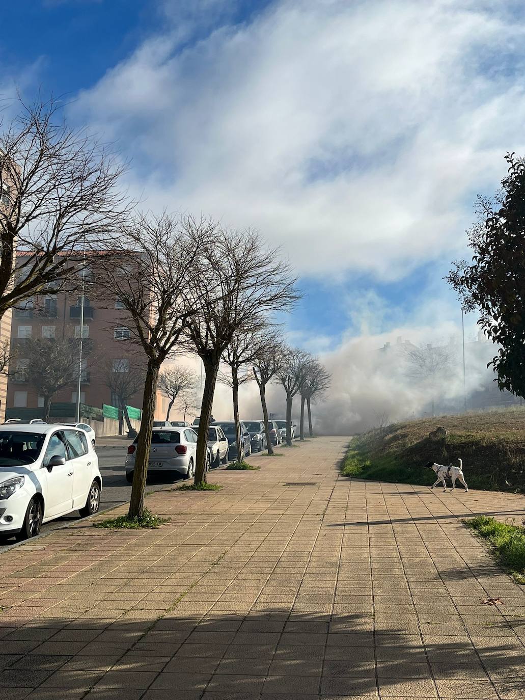 Una abundante humareda alarma a los vecinos de Los Alcaldes