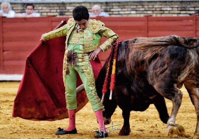 Comprometido muletazo por la espalda a un novillo de Jandilla en el coso de Los Califas.