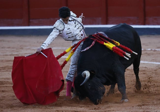 Excelente derechazo de Marco Pérez a uno de los novillos de Capea lidiados en La Glorieta.