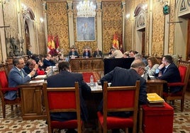 Pleno de la Diputación de Salamanca.