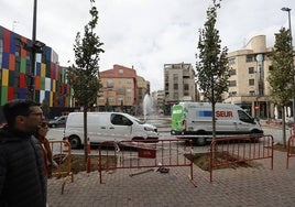 La plaza del Oeste, tras la plantación de los nuevos árboles.