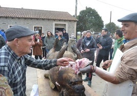 Los matanceros se afanaron en su labor