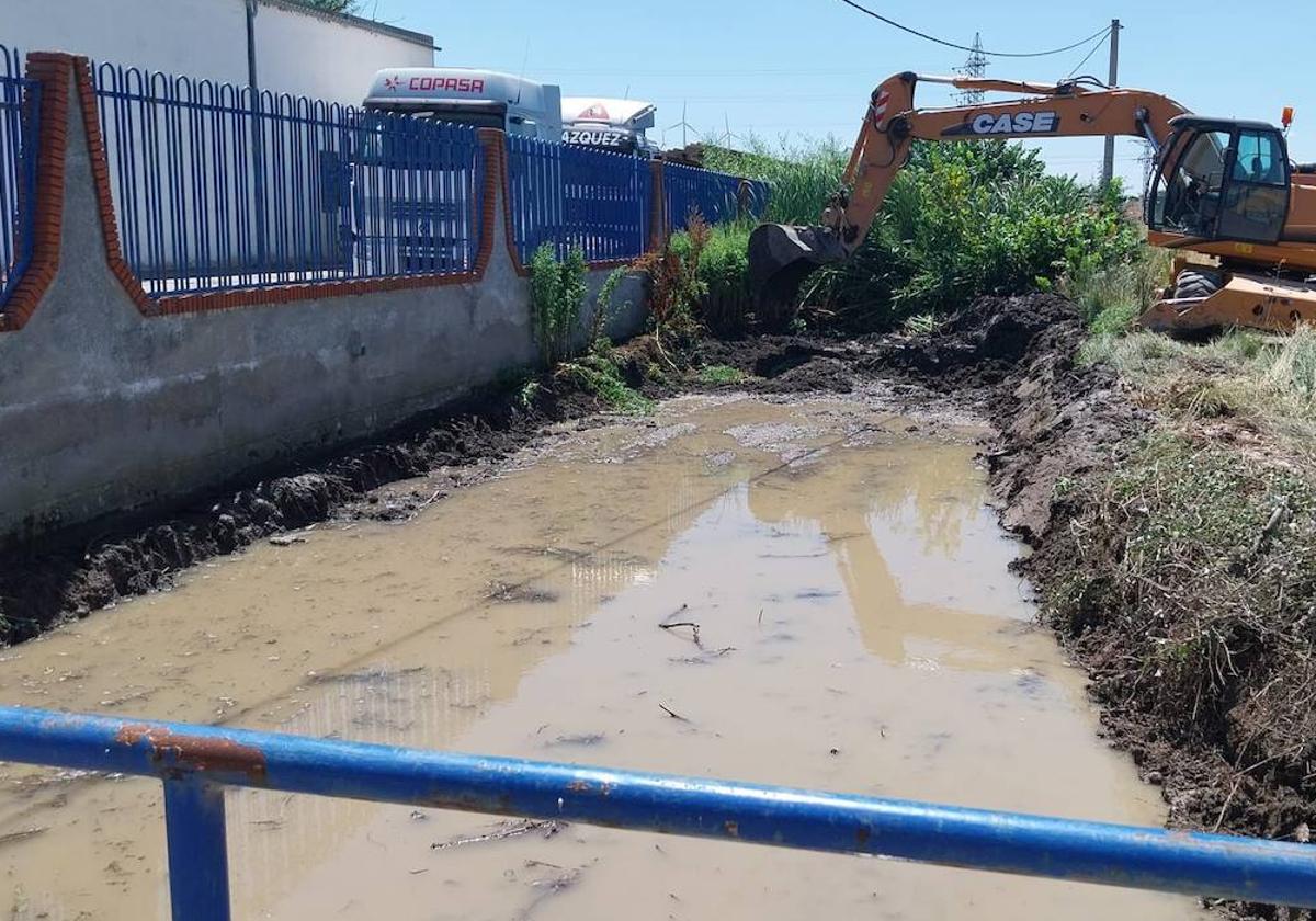 Limpieza del arroyo de La Fontanilla de los Carazos en Alba de Tormes.