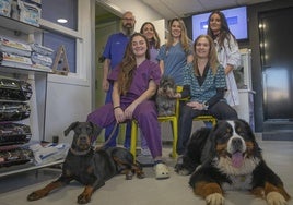 El equipo profesional de Clínica Veterinaria La Vega, junto a varias mascotas.