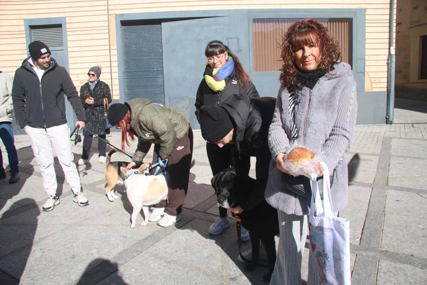 Bendición de San Antón y bocados de los tradicionales «bodigos» en Alba