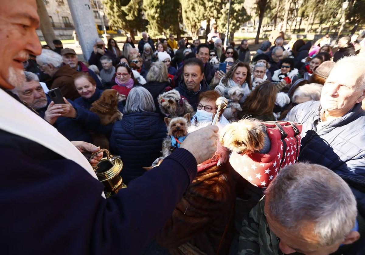 Qué ha ocurrido en Salamanca este viernes 17 de enero de 2025