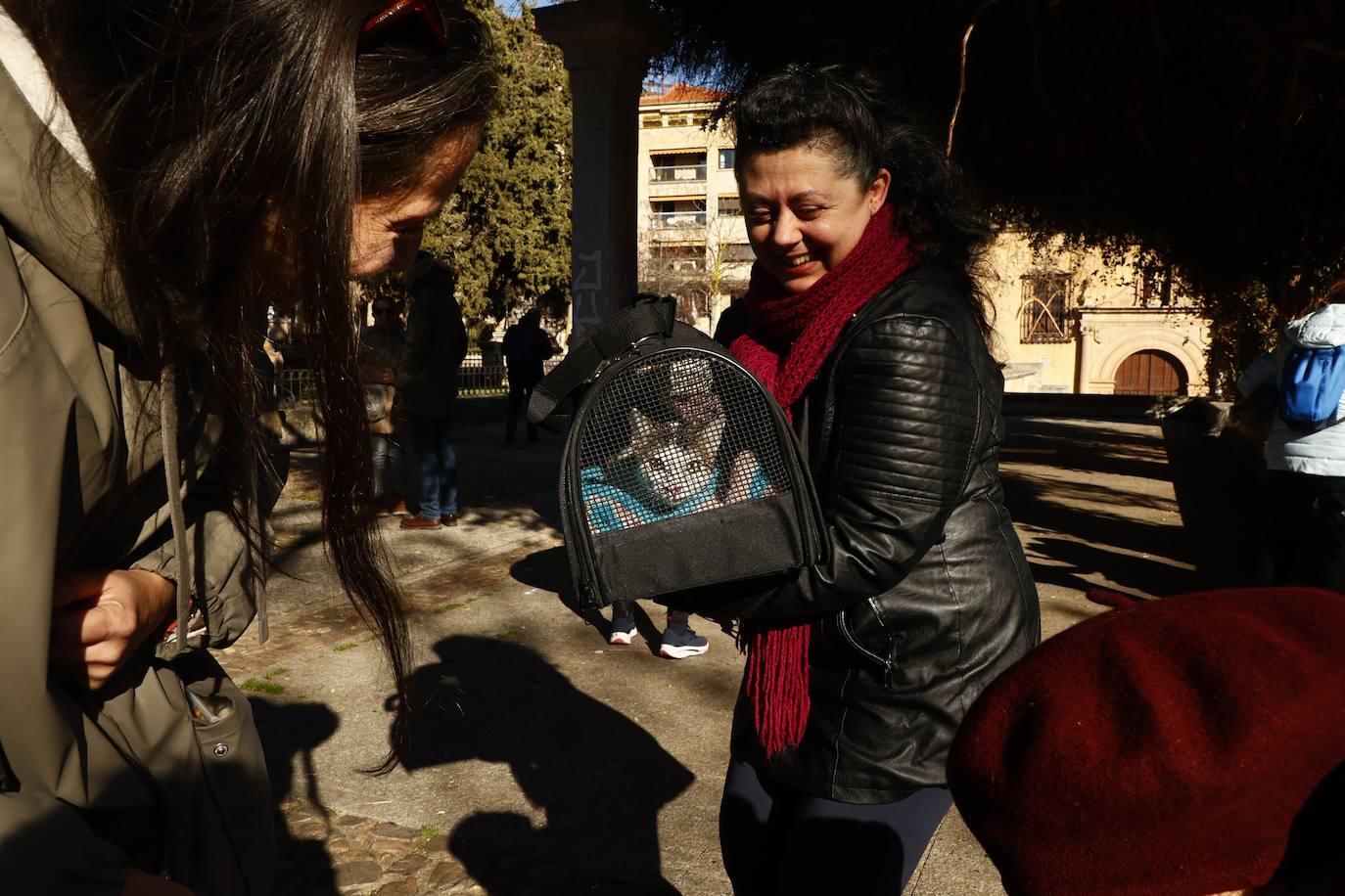 La gallina ‘Jana’ triunfa por San Antón