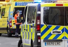 Una ambulancia y un furgón de la Policía Local, estacionados en una calle de la capital.