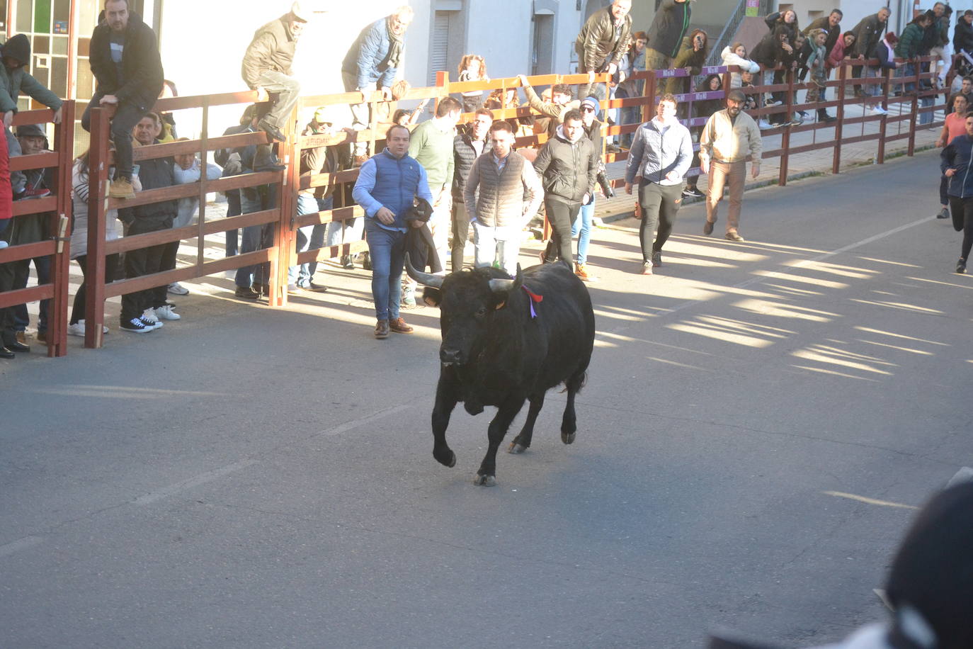 Bonita tarde taurina en Ciudad Rodrigo