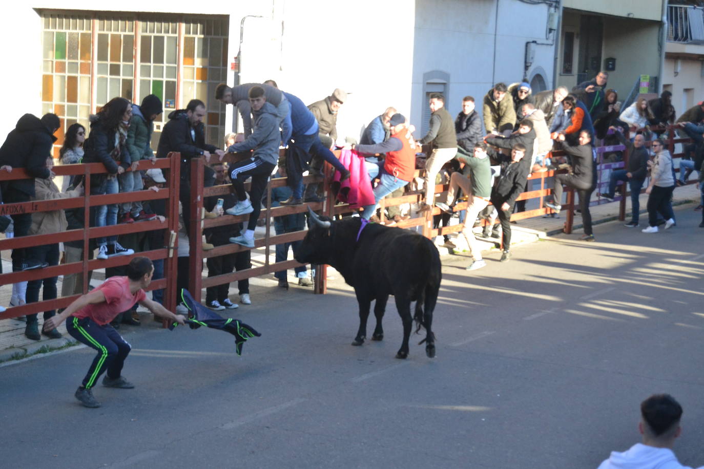 Bonita tarde taurina en Ciudad Rodrigo