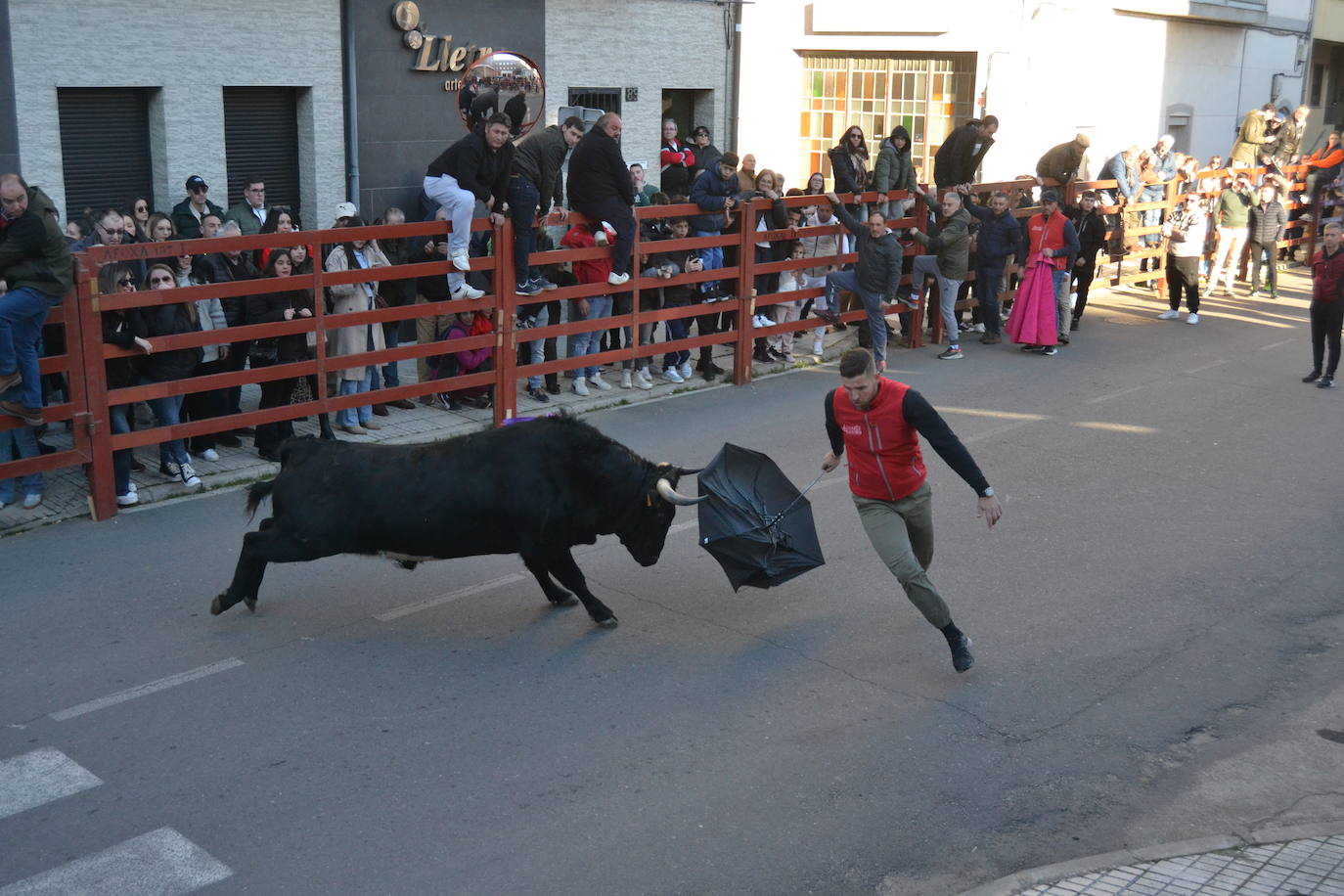 Bonita tarde taurina en Ciudad Rodrigo