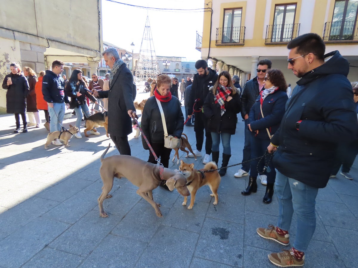 Protección divina para los más fieles de Peñaranda