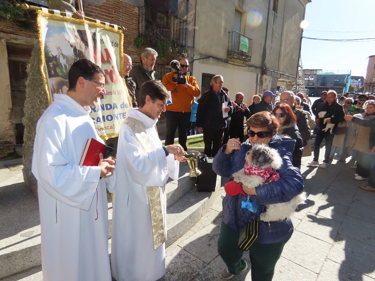 Protección divina para los más fieles de Peñaranda