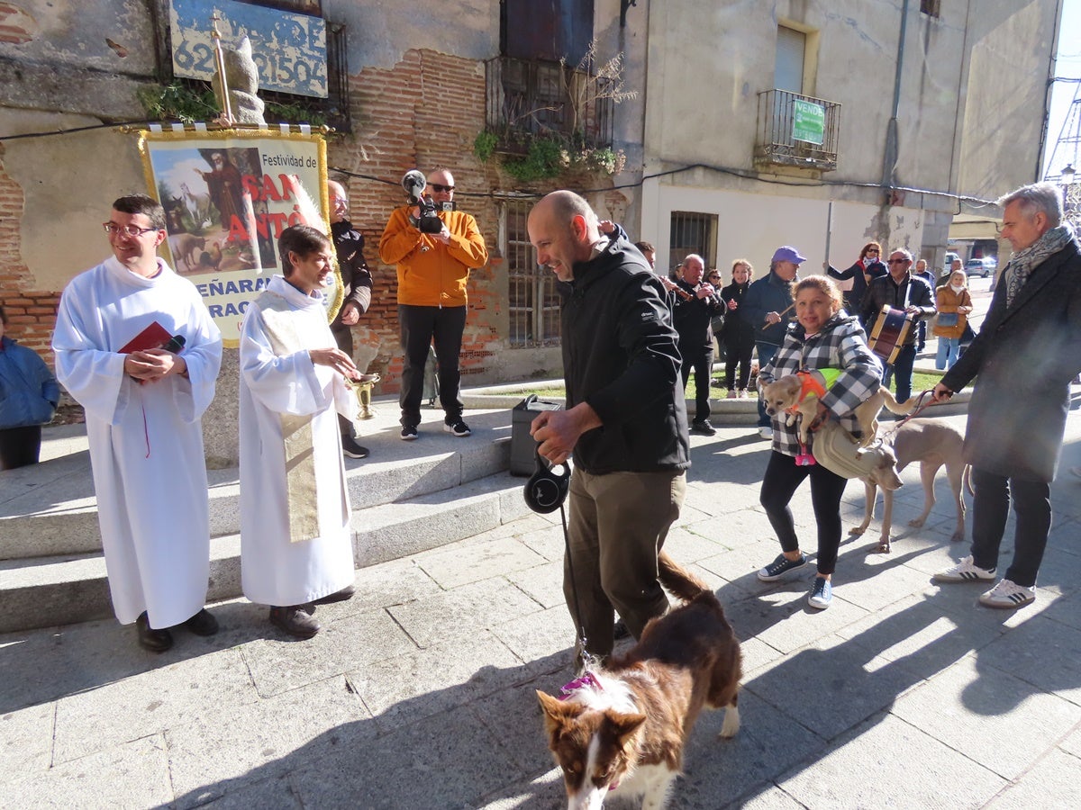 Protección divina para los más fieles de Peñaranda