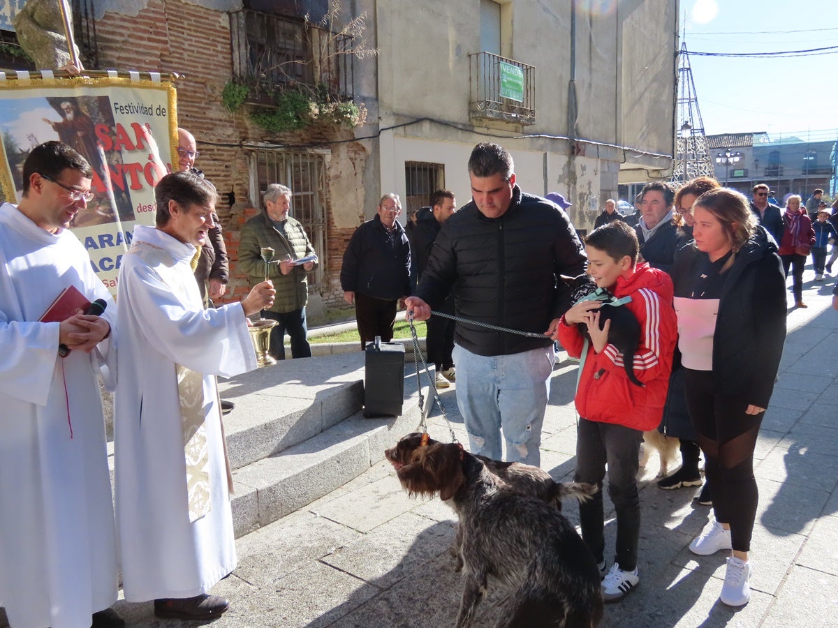 Protección divina para los más fieles de Peñaranda