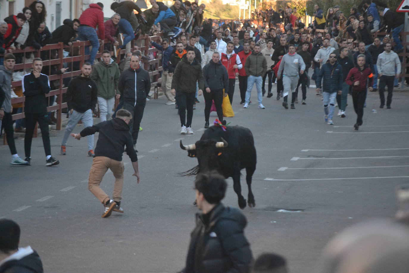 Bonita tarde taurina en Ciudad Rodrigo