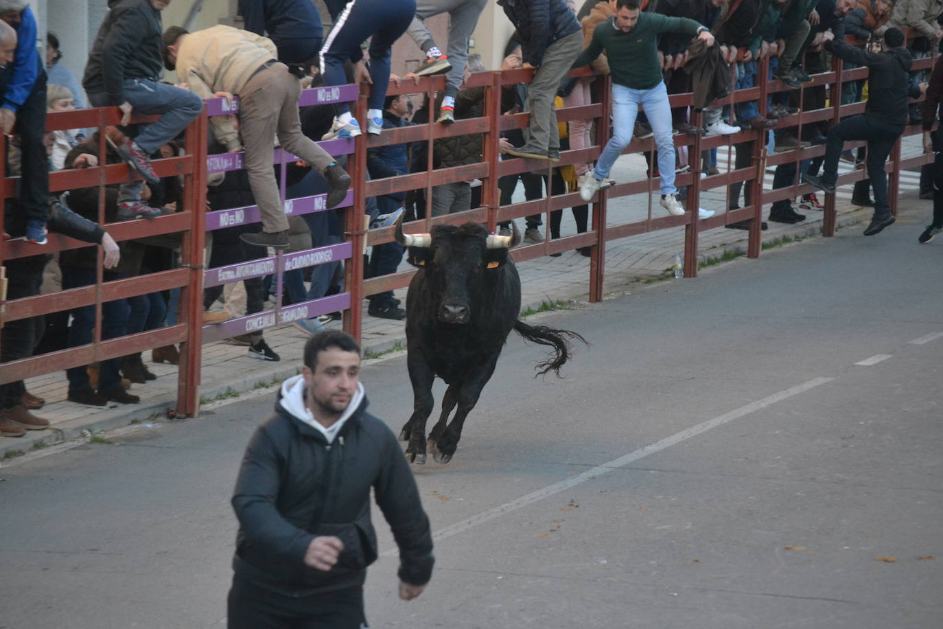 Bonita tarde taurina en Ciudad Rodrigo