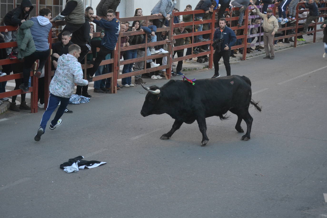 Bonita tarde taurina en Ciudad Rodrigo