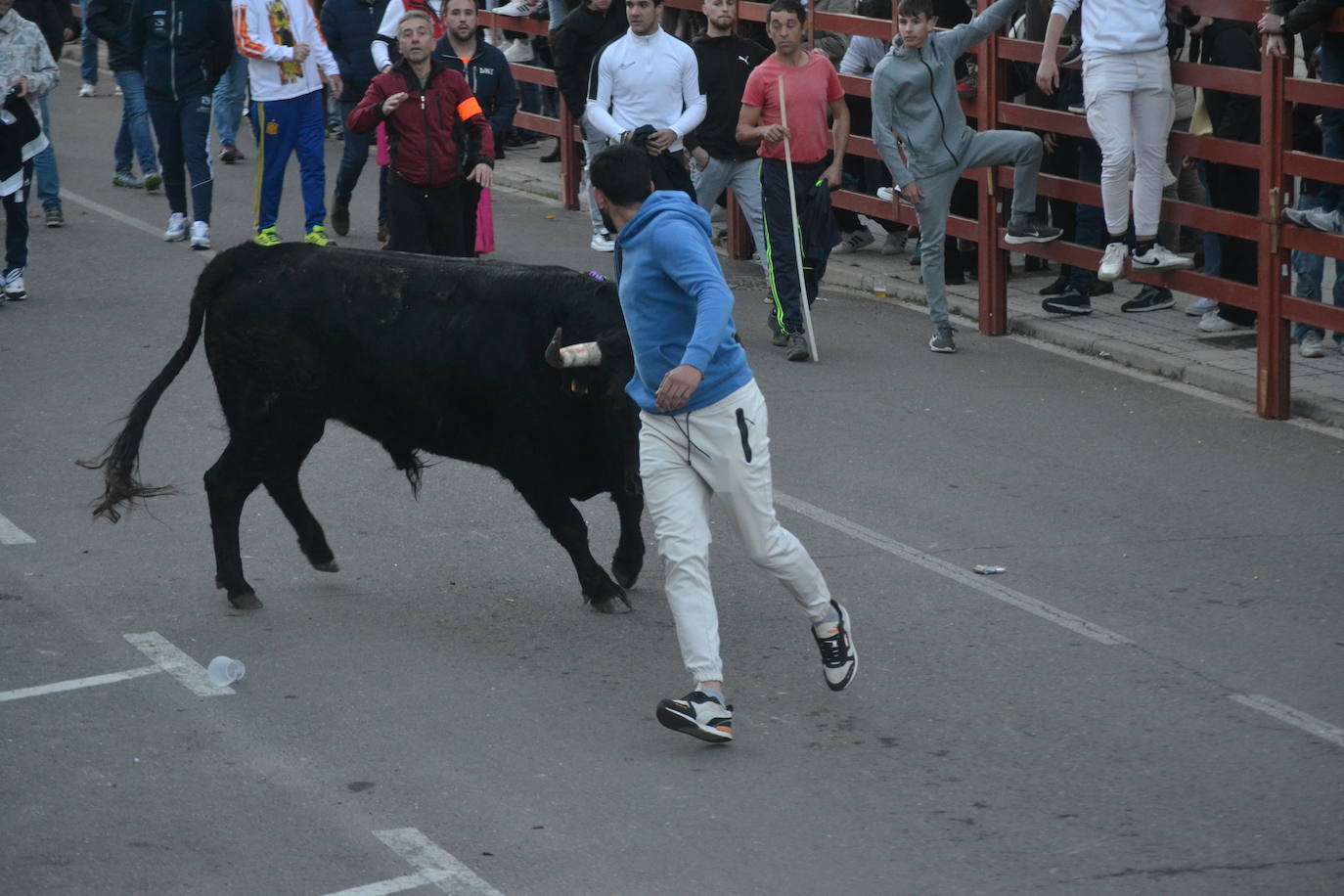 Bonita tarde taurina en Ciudad Rodrigo