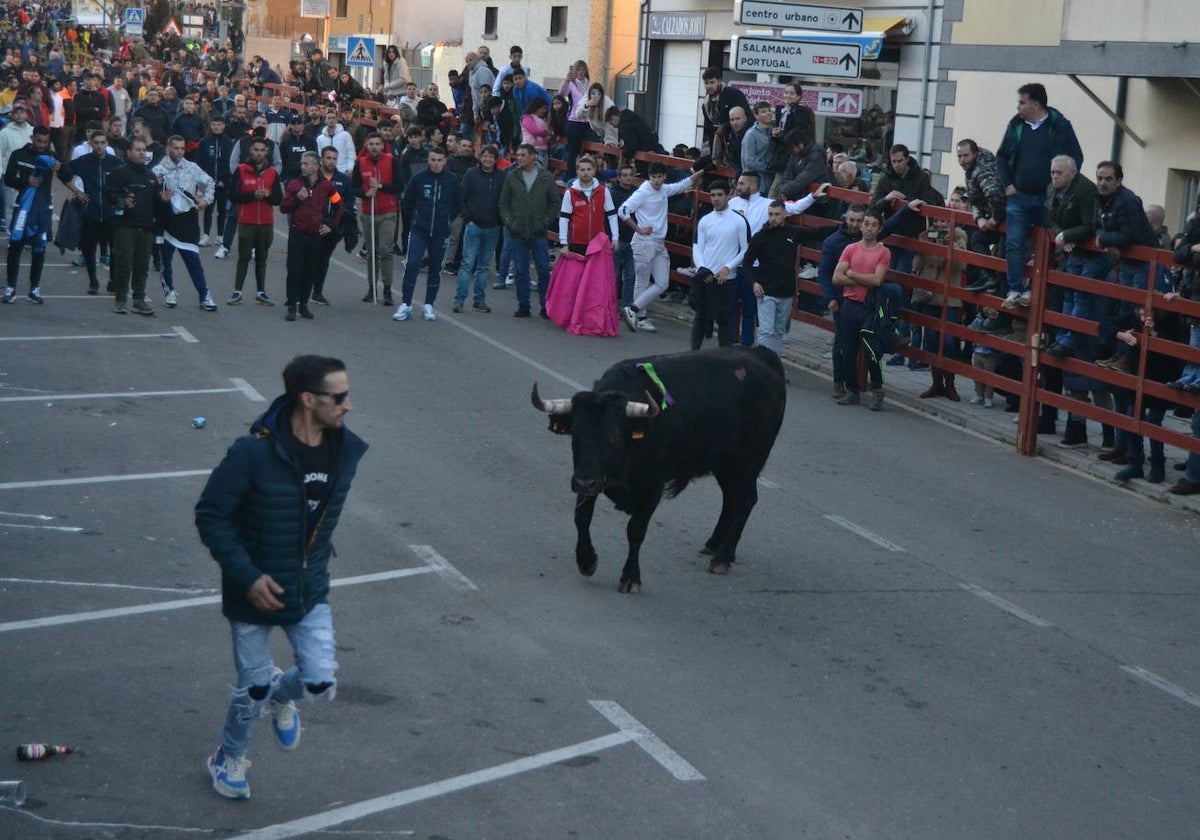 Bonita tarde taurina en Ciudad Rodrigo