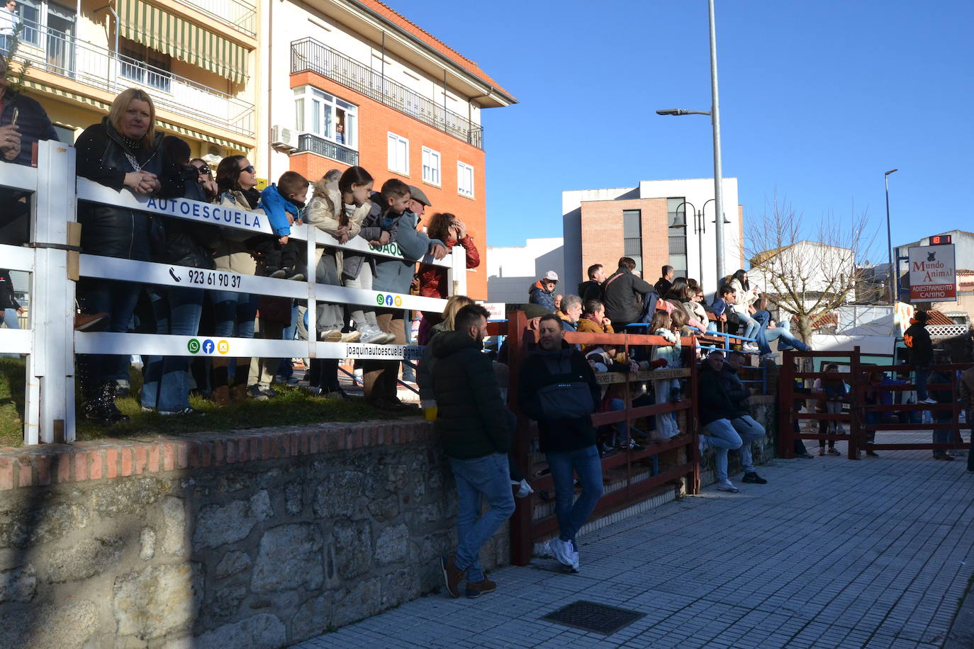 Bonita tarde taurina en Ciudad Rodrigo