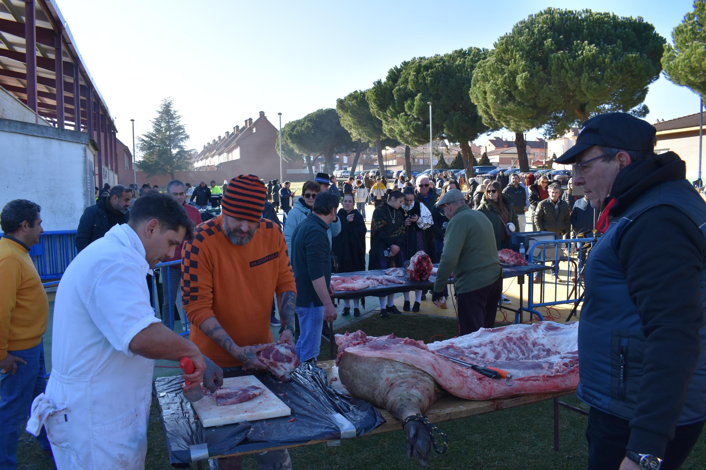 300 kilos de cerdo en la matanza de Carrascal de Barregas