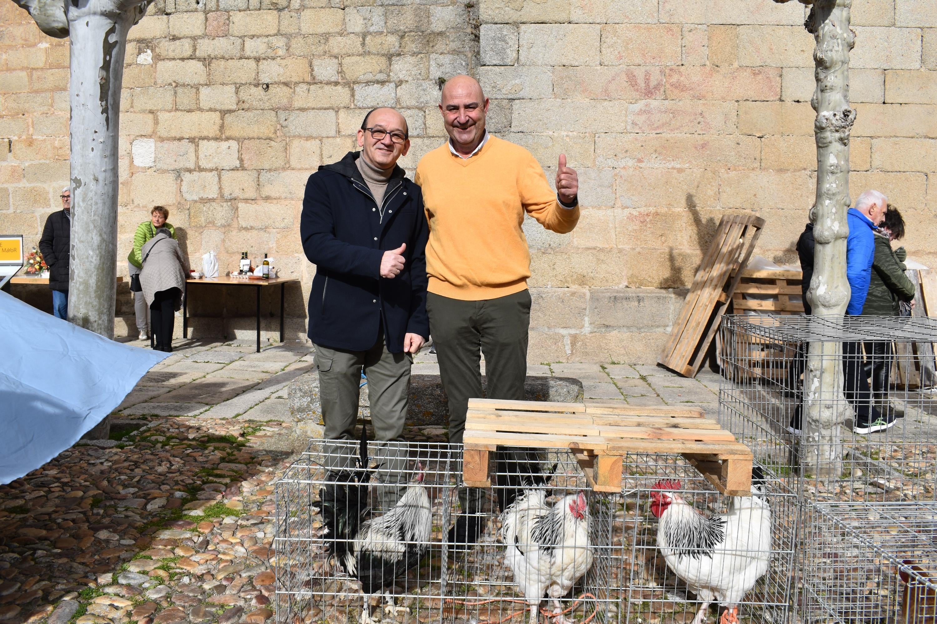 Gallos por 53 euros o una garrafa de aceite por 59: así ha sido la subasta de San Antón en Ledesma