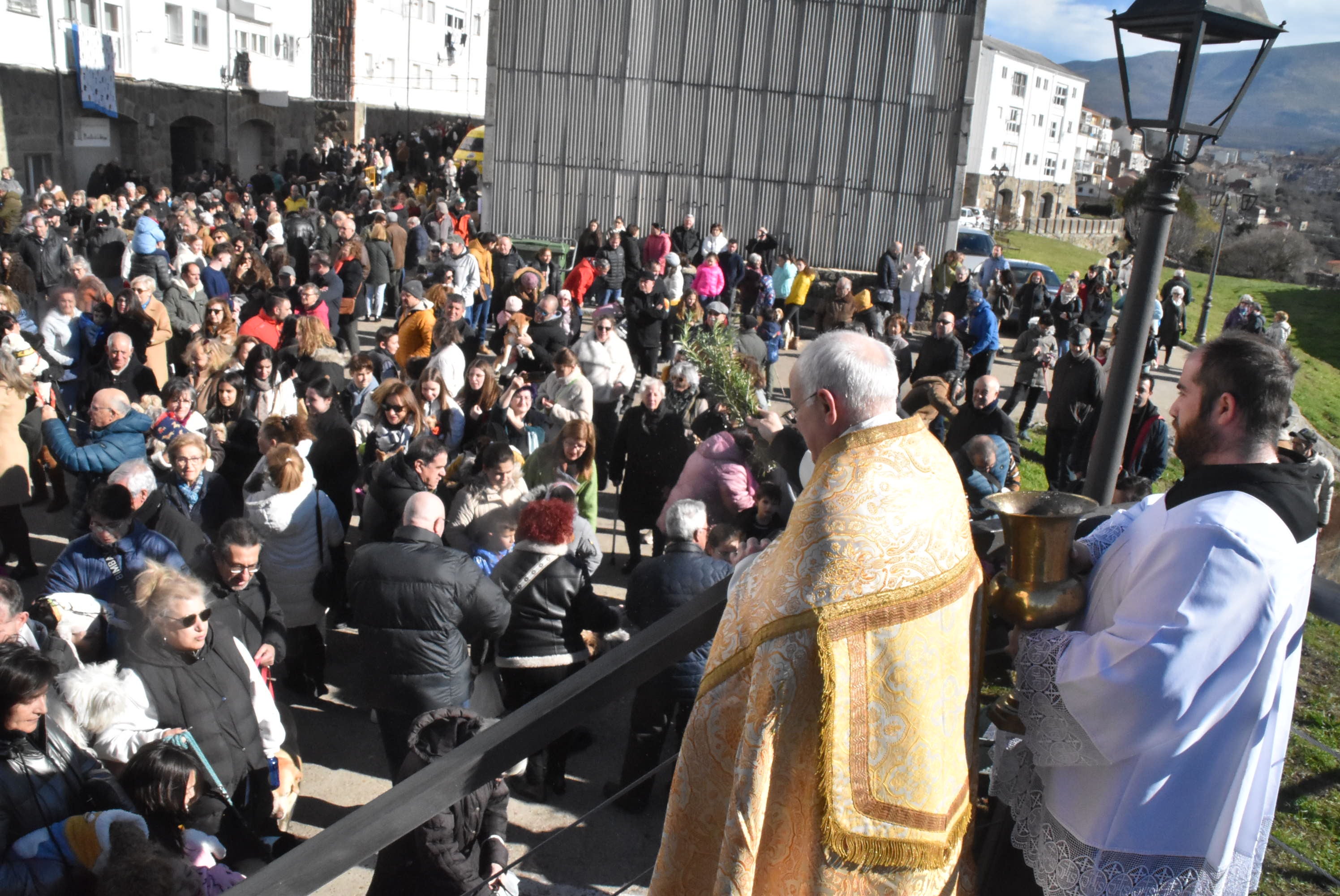 San Antón renueva la protección a los animales en Béjar