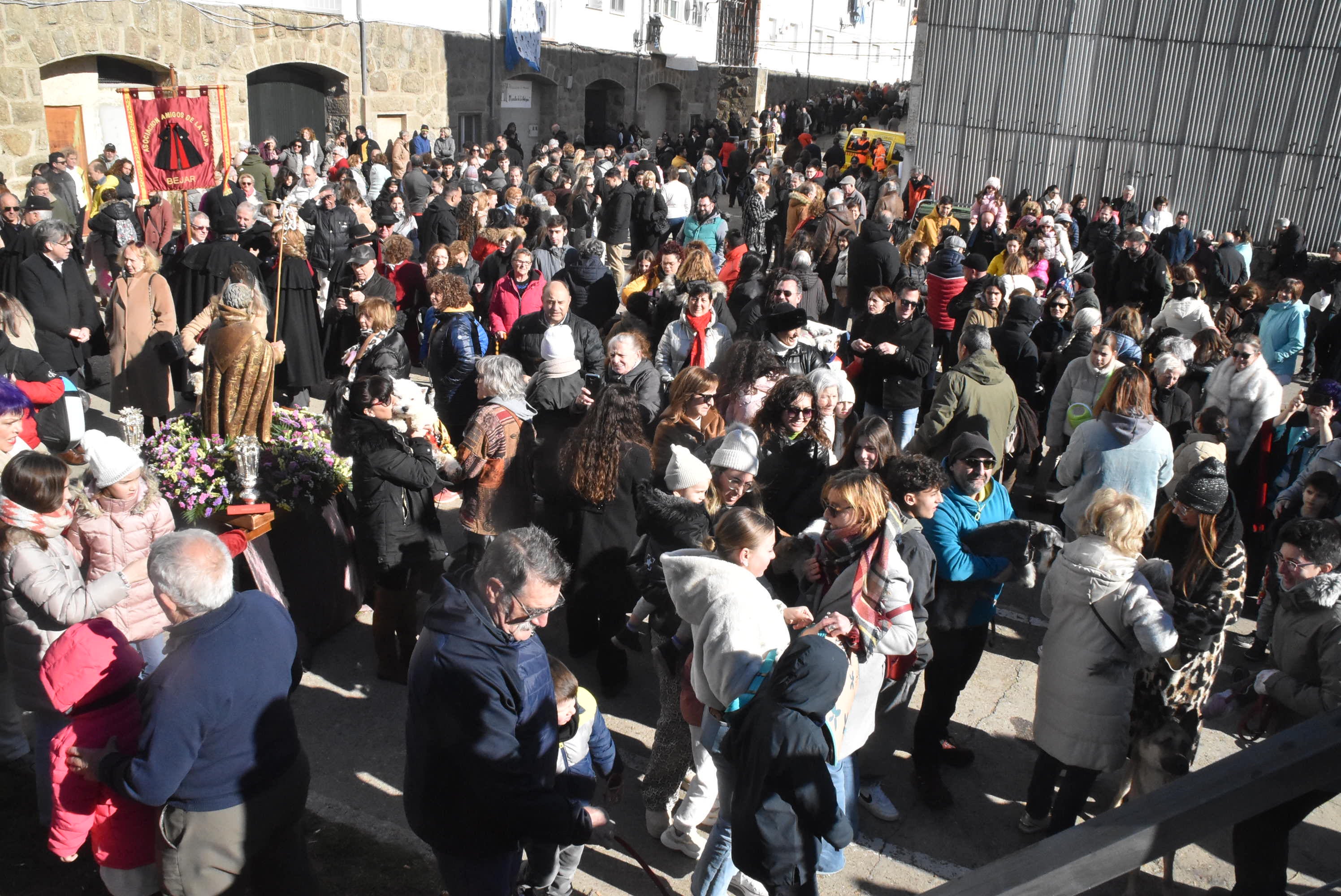 San Antón renueva la protección a los animales en Béjar