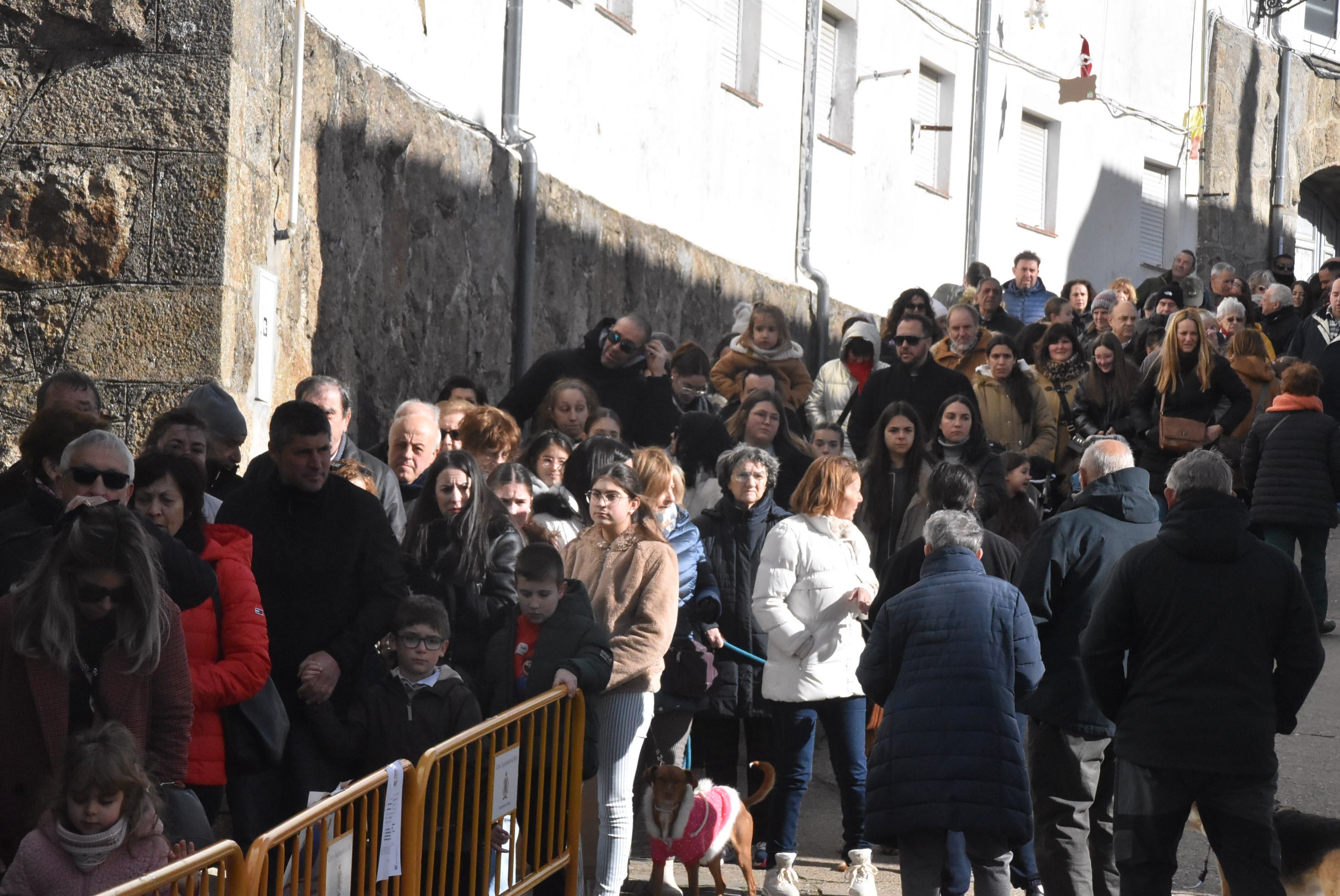 San Antón renueva la protección a los animales en Béjar