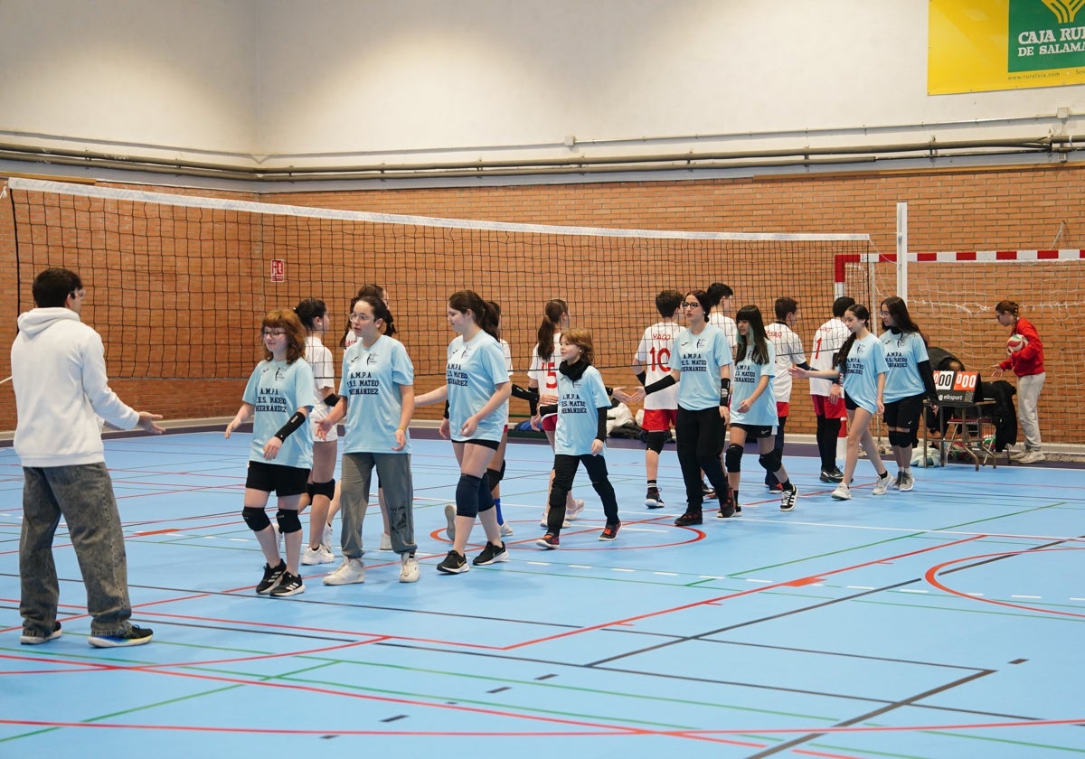 Saludo entre ambos equipos en un partido de voleibol el pasado fin de semana.