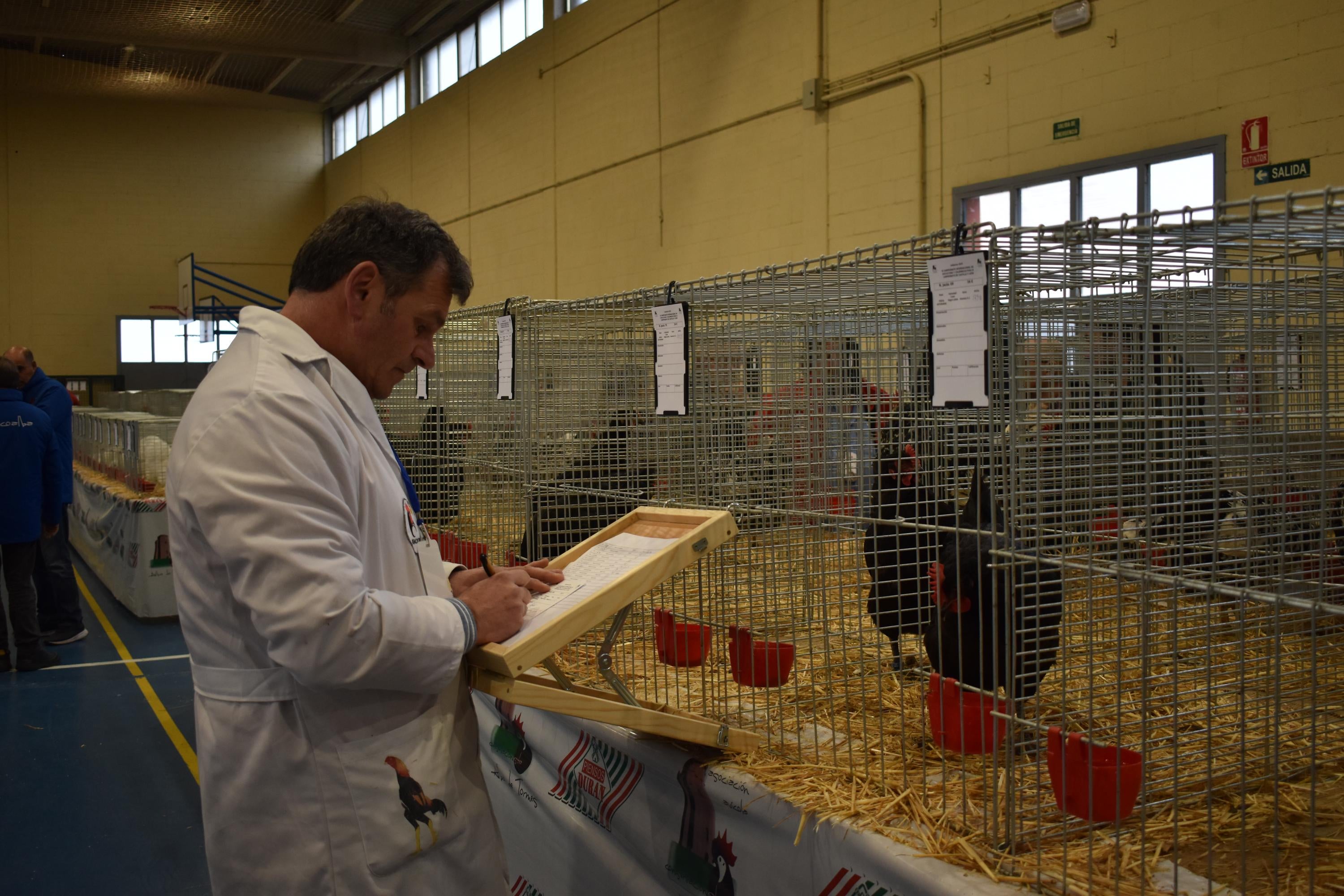 Así son las gallinas, palomas y conejos que seducen al público de Ledesma